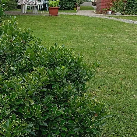 Centrala Apartman *