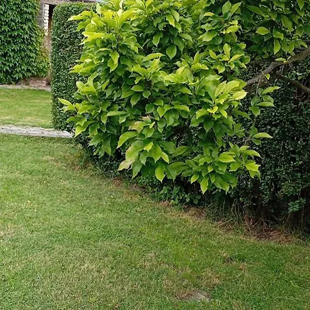 Centrala Apartman *